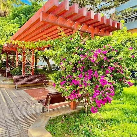 El Anclaje De Galletas Arona (Tenerife)